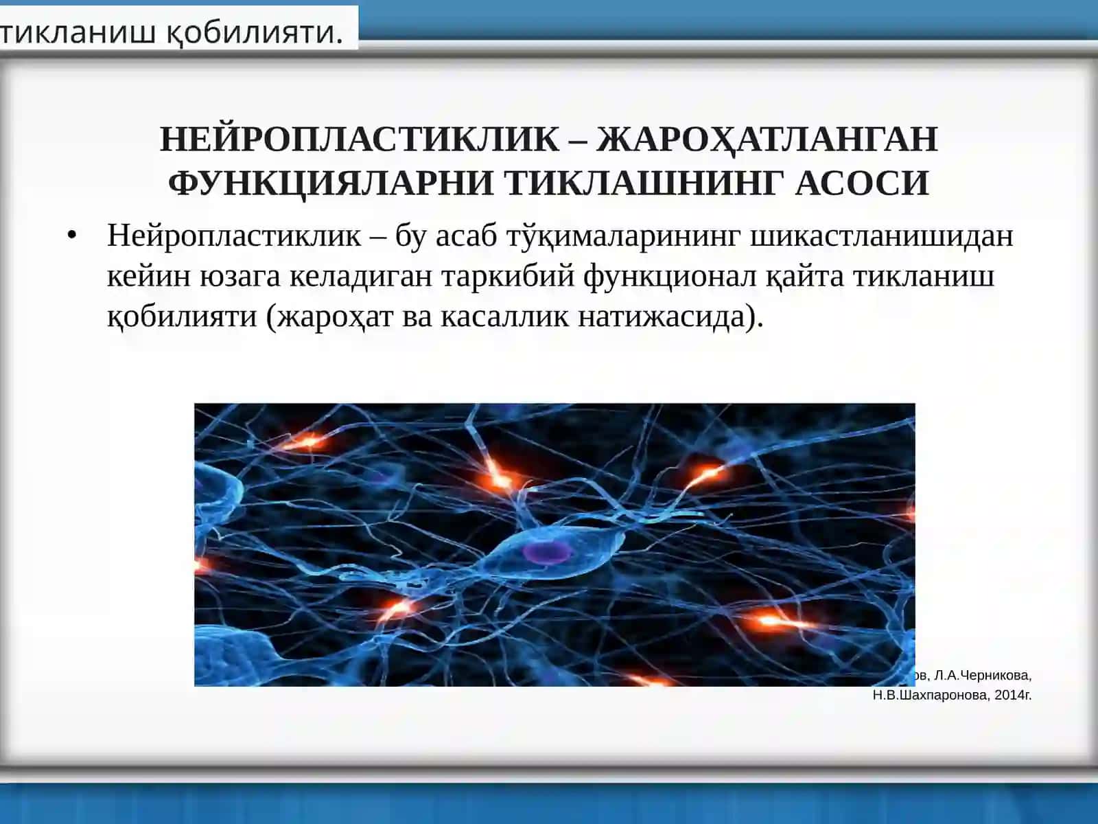 Реабилитация 4