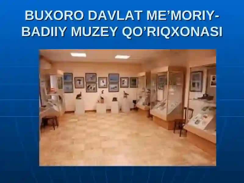 Buxoro muzeylari 4