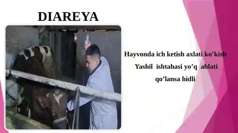 KAMOLOV ISMATILLONING MALAKAVIY AMALIYOTDAN TAYYORLAGAN TAQDIMOTI 4