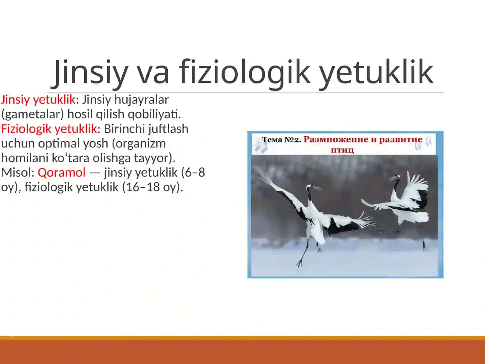 Hayvonlarko’payishining biologikasoslari 4