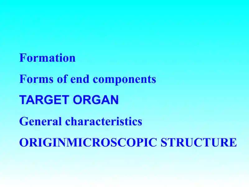 ENDOCRINE SYSTEM 4