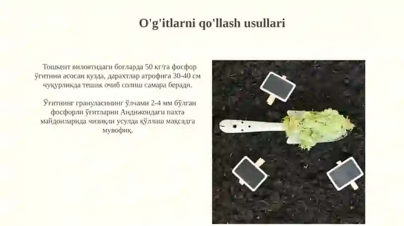 Fosforli o'g'itlar 4