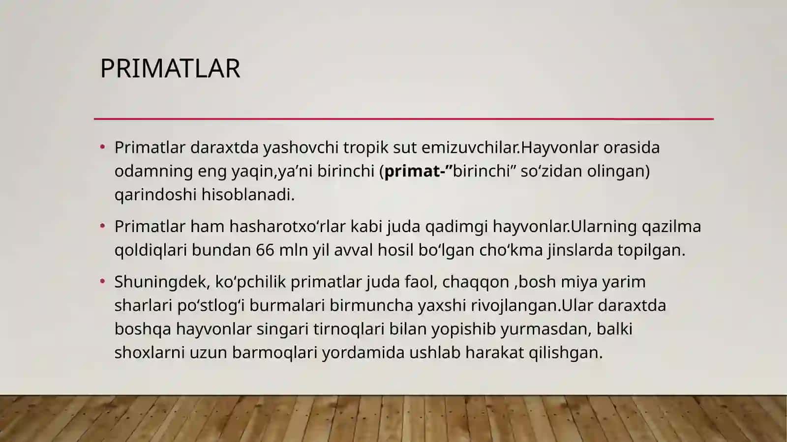 Primatlar va Antropoidlar 4