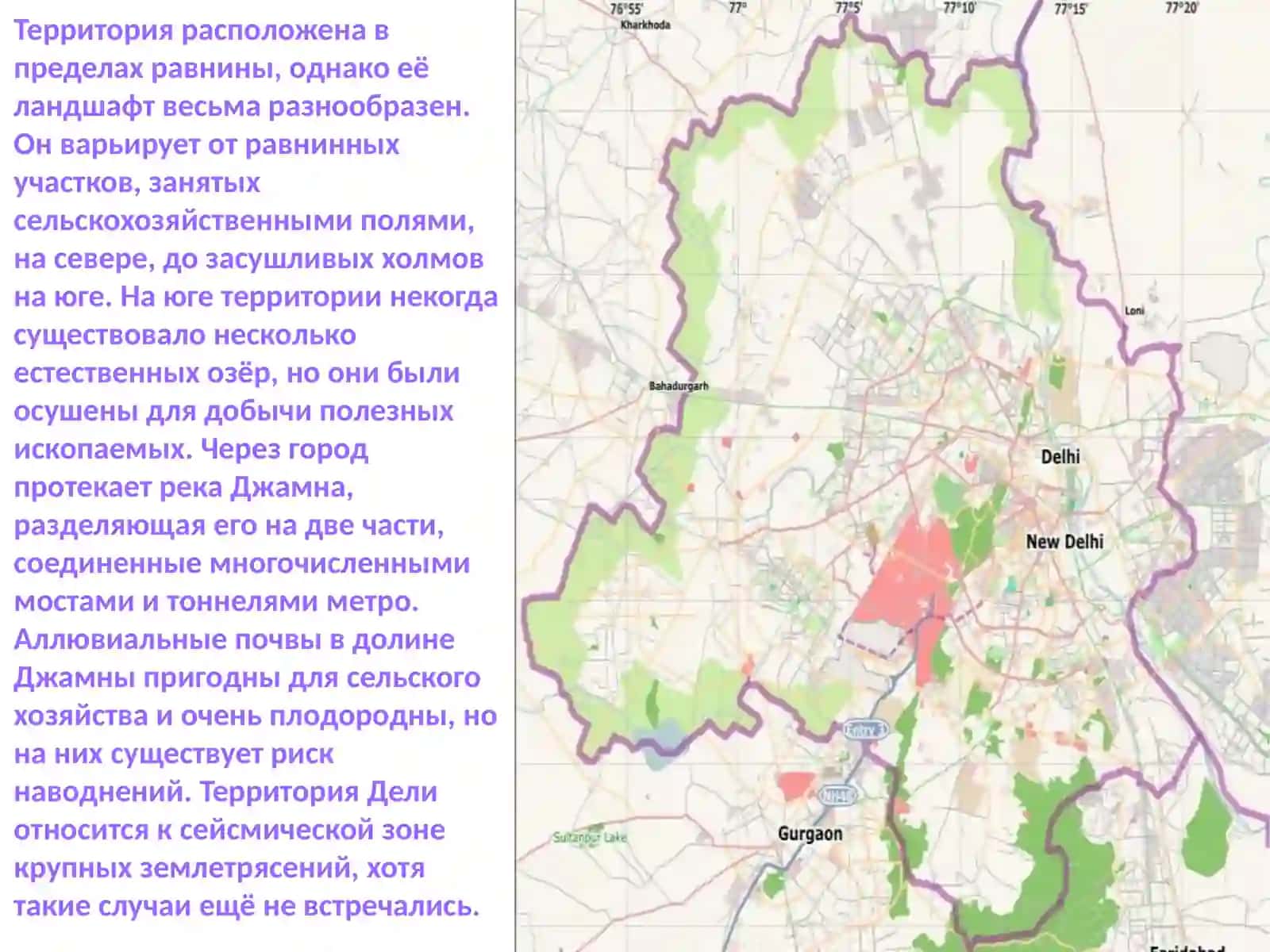 Дели 4
