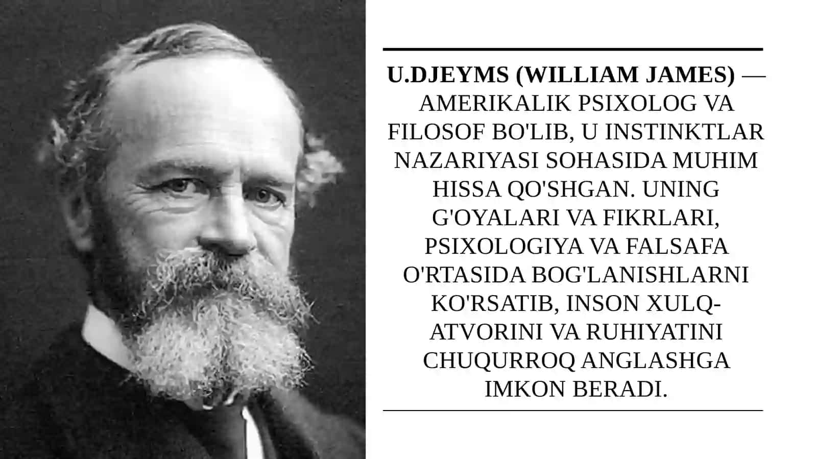 U. Djeymsning instinktlarnazariyasi Tayyorladi: Burxondinova Shahlo 4