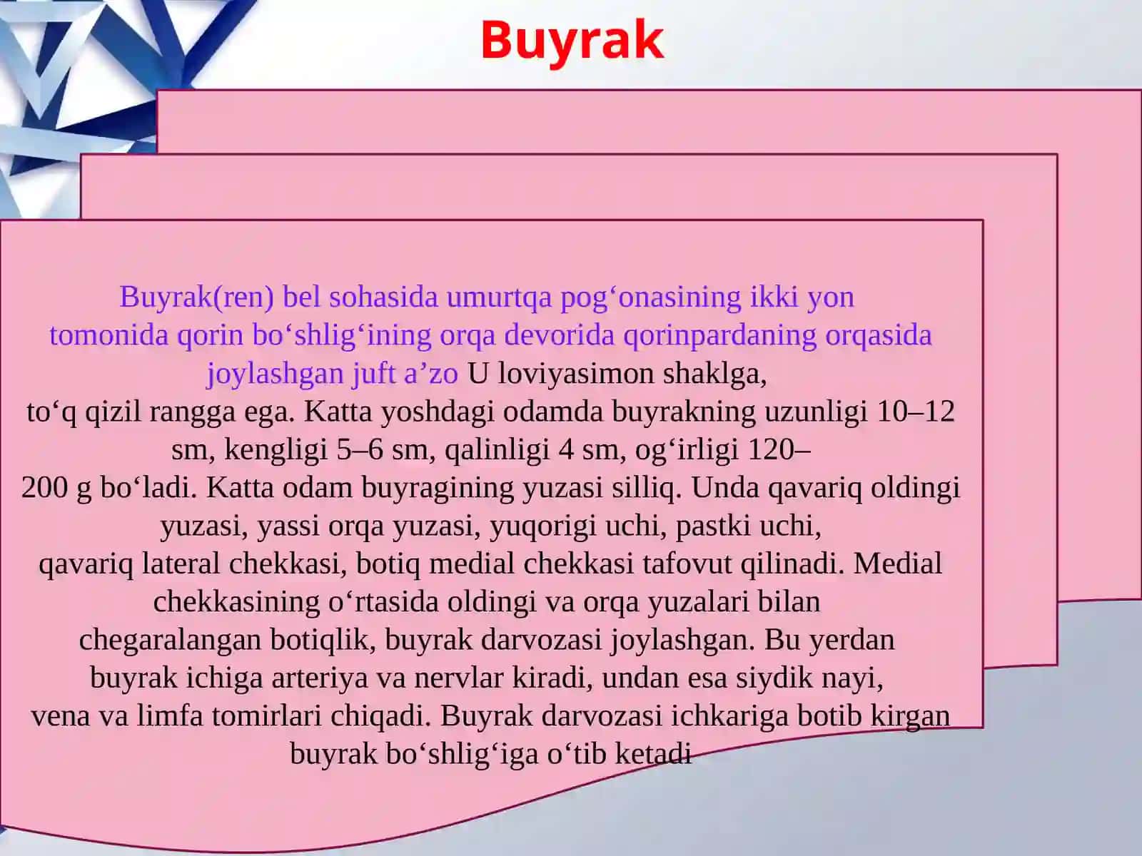 Ayiruv organlarining yosh xususiyatlari, teri tuzilishi va funksiyalari, gigiyenasi 4