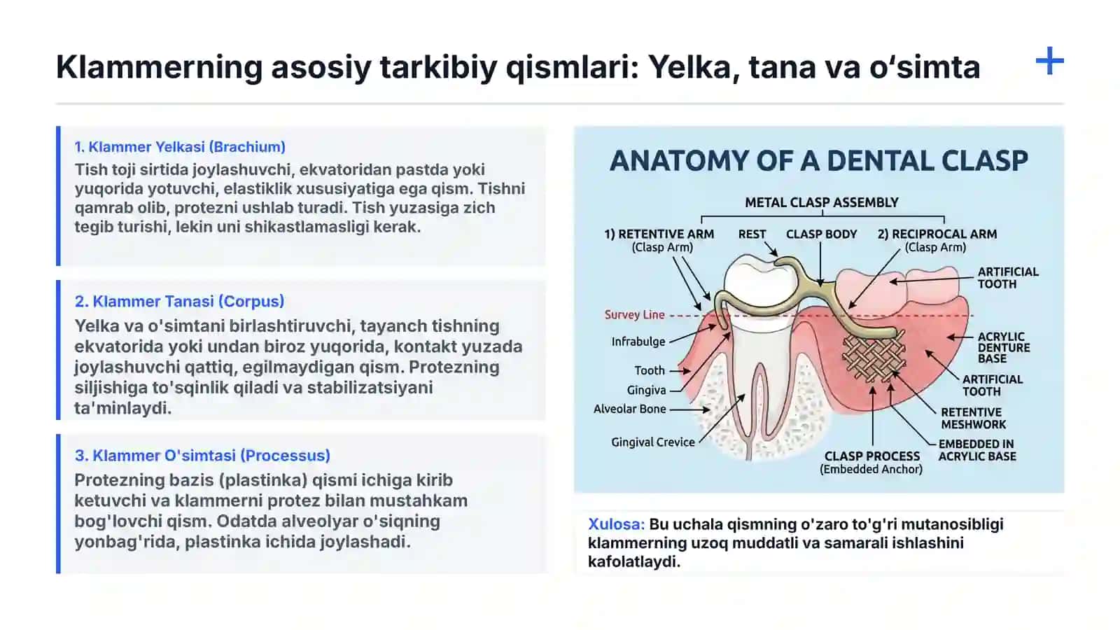 Qisman olib qo‘yiluvchi plastinkali tish protezga klammer turi Klammerlarning tarkibiy qismlari. Klammerni yelkasini tayanch tishga va protezga nisbatan joylashishi. Egib tayyorlanadigan klammerlarni tayyorlanish bosqichlari. Sun’iy tishlarni anatomik va estetik tanlash va yoshiga qarab terish mezonlari. Vasilev buyicha sun’iy tishlarni terish asoslari. 4