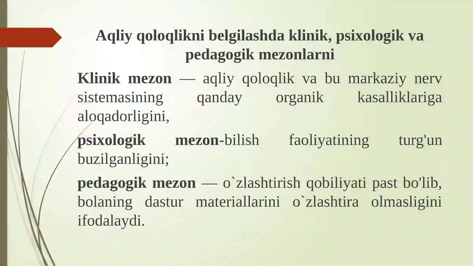 Turli darajadagi intellektual yengilgi bo'lgan bolalar uchun inklyuziv ta'lim strategiyalari 4