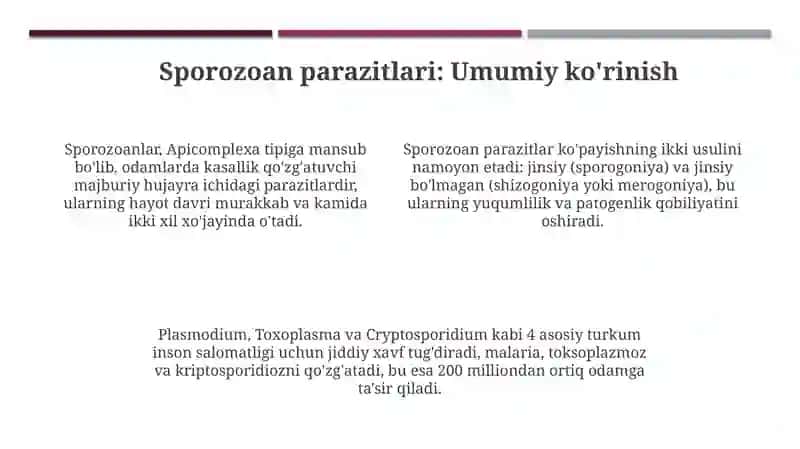 Sporalilarodamparazitlarisorgichlilar 4