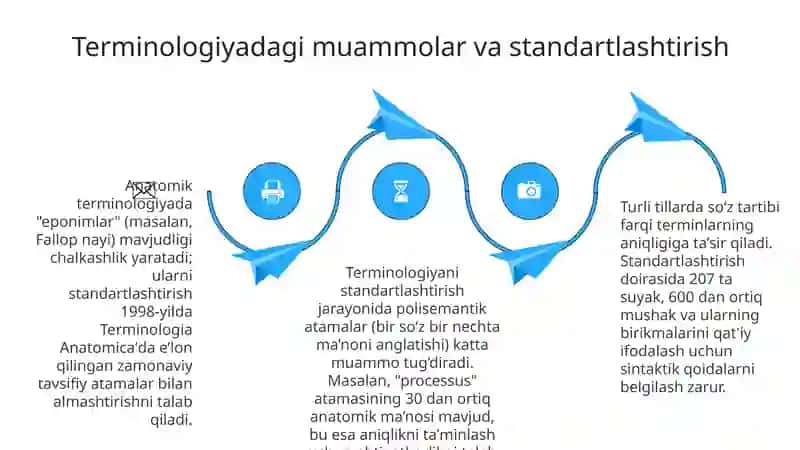 Anatomik iboralarning tarjimasi 4
