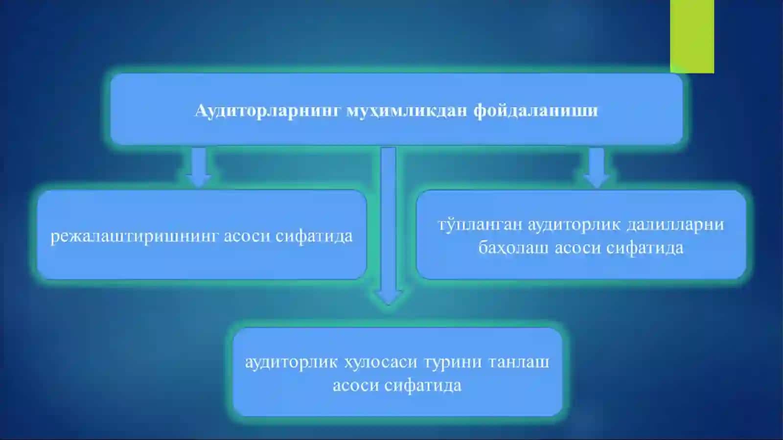 "АУДИТОРЛИК ТЕКШИРУВИДА МУҲИМЛИК ВА РИСК" 4