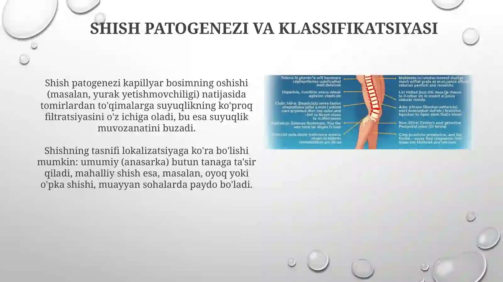 Shish va To'lish Jarayonlari: Patologik Anatomiya 4
