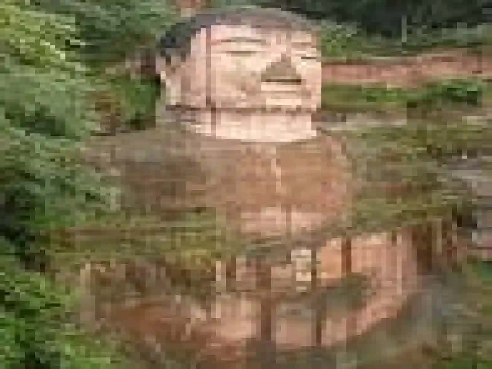 Buddaviylik 4