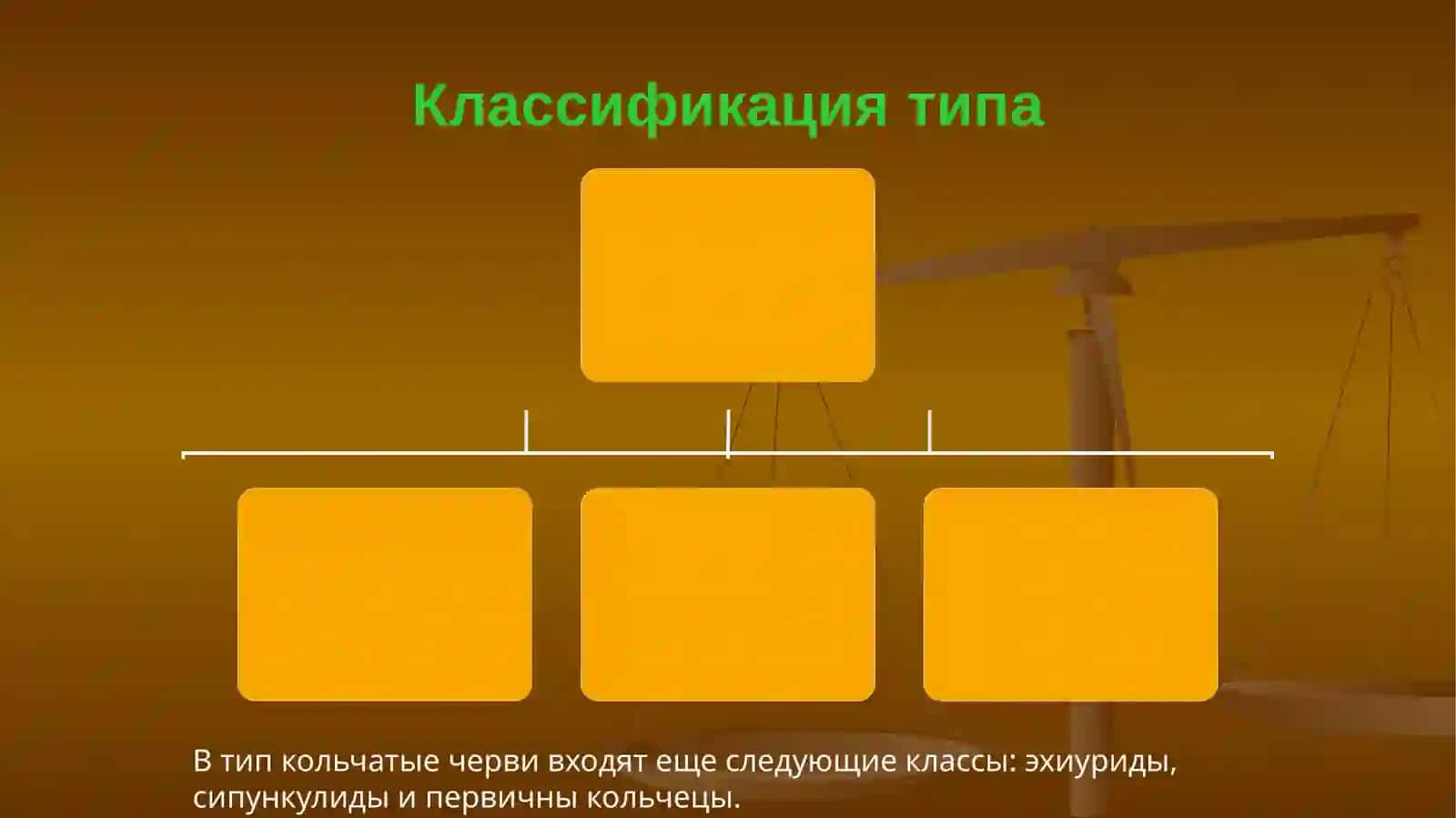Тип кольчатые черви 4
