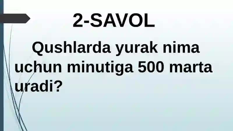 HAYVONLARNING HAZM QILISH ORGANLARI EVOLUTSIYASI 4