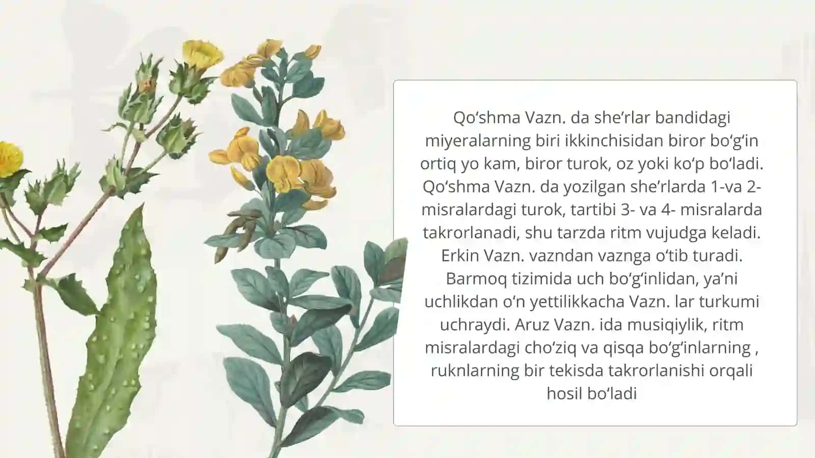 Sheʼriy vaznlar. Barmoq, aruz va erkin vazndagi sheʼrlar mutolasi va ularniifodali oʻqish koʻnikmasini shakllantirish 4