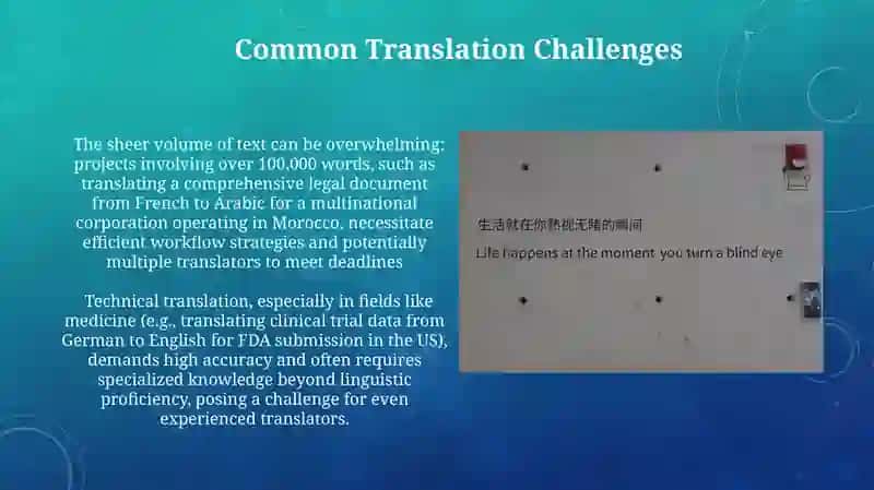 The Translation Process 4