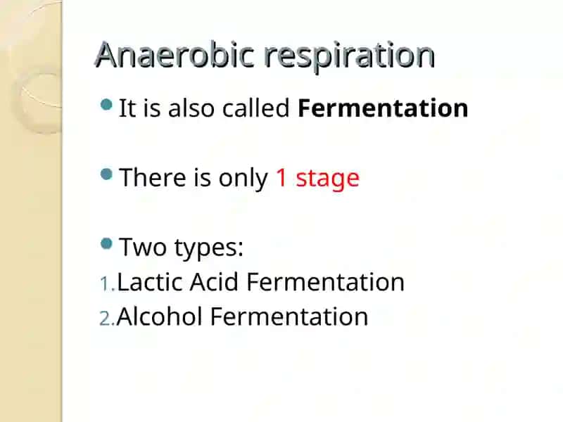 RESPIRATION 4