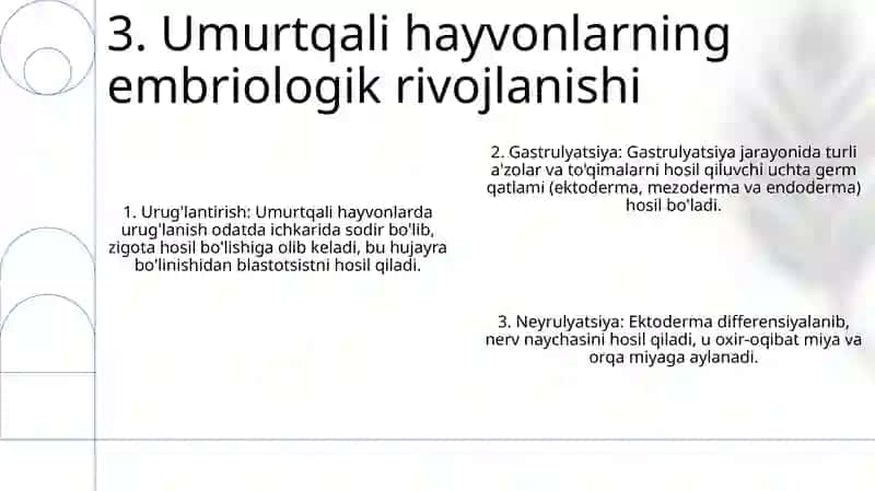 Umurtqali Va Umurtqasiz Hayvonlarni Rivojlanishi 4