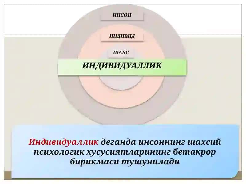 Шахс 4