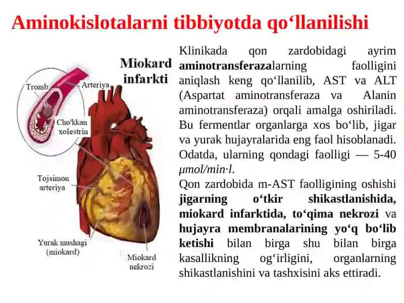 Aminokislotalar, peptidlar va oqsillar 4