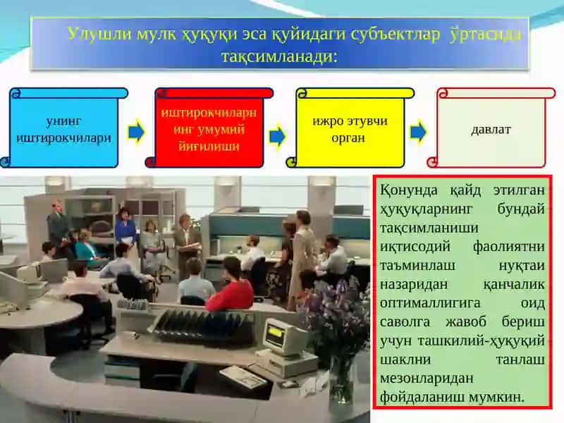 Ташкилий-ҳуқуқий шаклини таҳлил қилиш 4