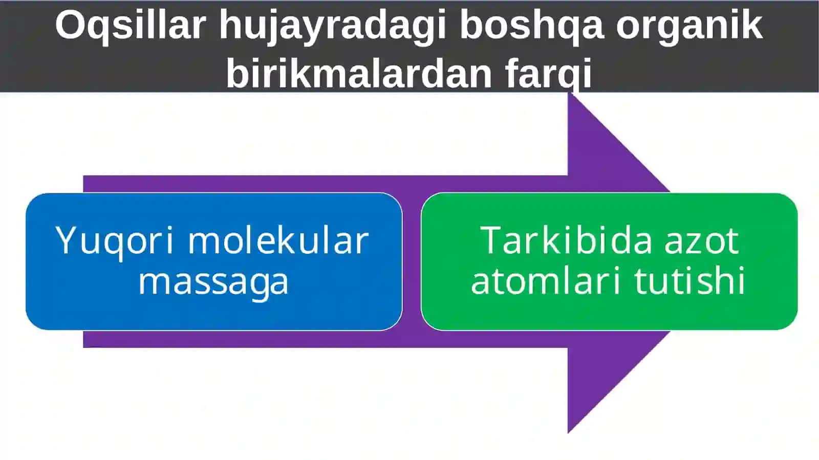 Oqsillar. Aminokislotalar 4