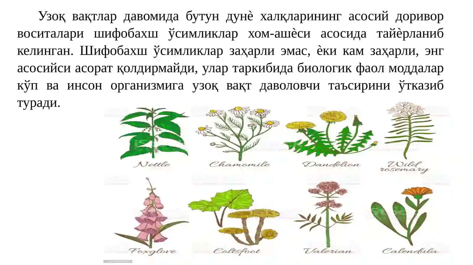 Кириш. Халқ табобати ва расмий тиббиѐт фанининг мақсади, вазифаси ва аҳамияти 4
