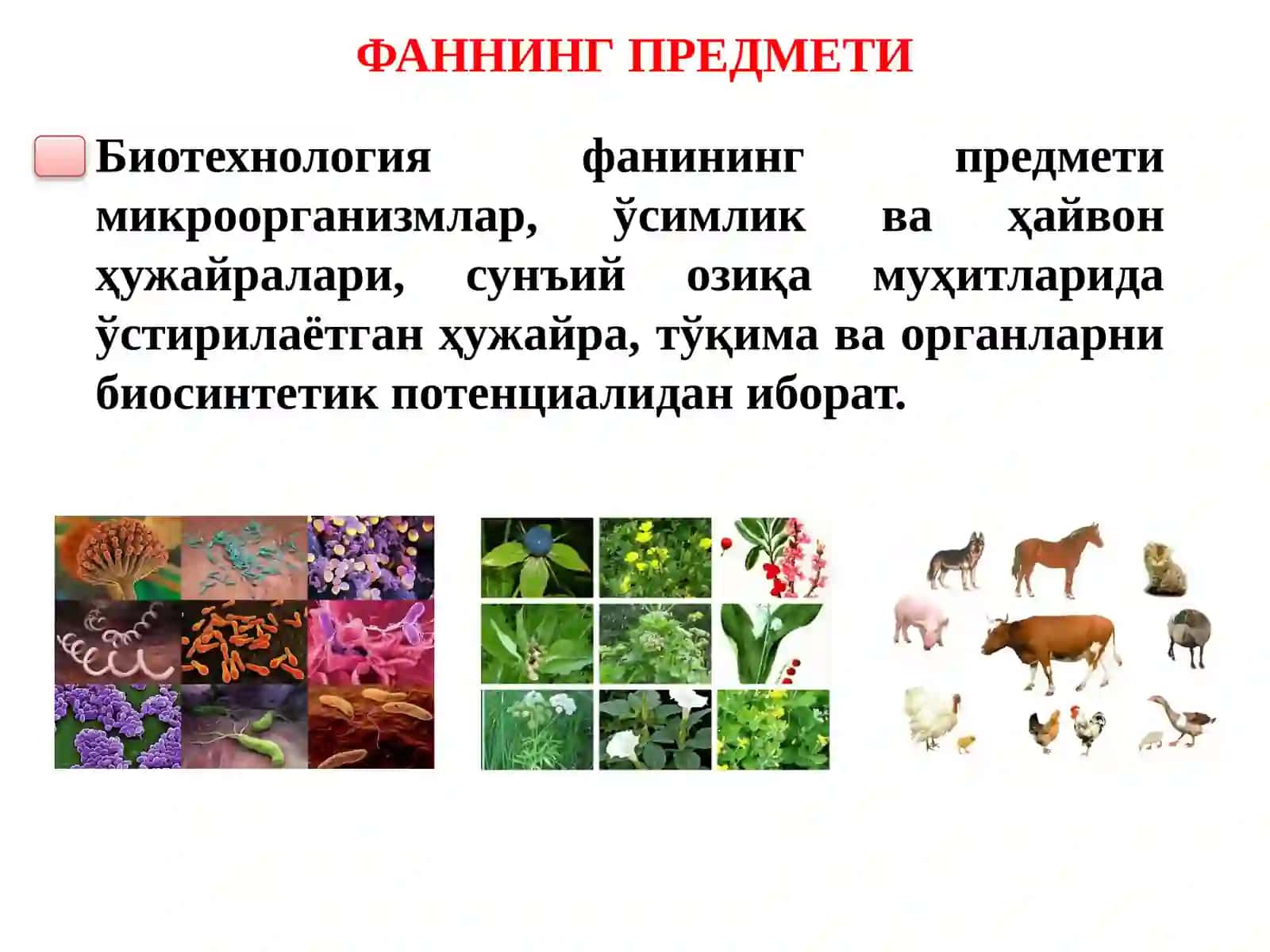 БИОТЕХНОЛОГИЯ ФАНИГА КИРИШ, ФАННИНГ МОҲИЯТИ, ВАЗИФАСИ,АСОСИЙЙЎНАЛИШЛАРИ ВА РИВОЖЛАНИШ ТАРИХИ 4