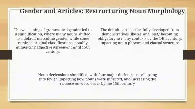 Morphological developments from the 12th to the 15th centuries 4