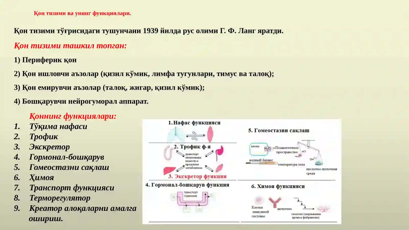 Қонтизимифизиологияси 4