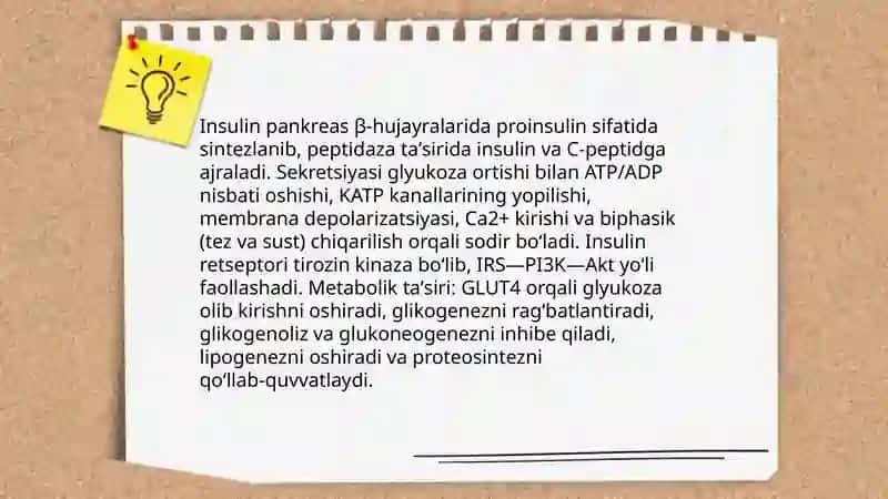 Oshqozonosti bezi va buyrak usti bezi. Jinsiy gormonlar 4