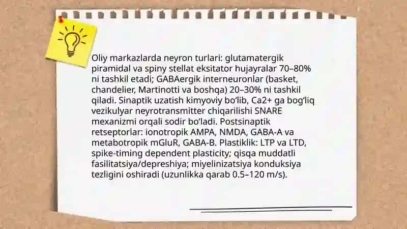 Inson markaziy nerv tizimining oliy bo'lim fiziologiyasi 4
