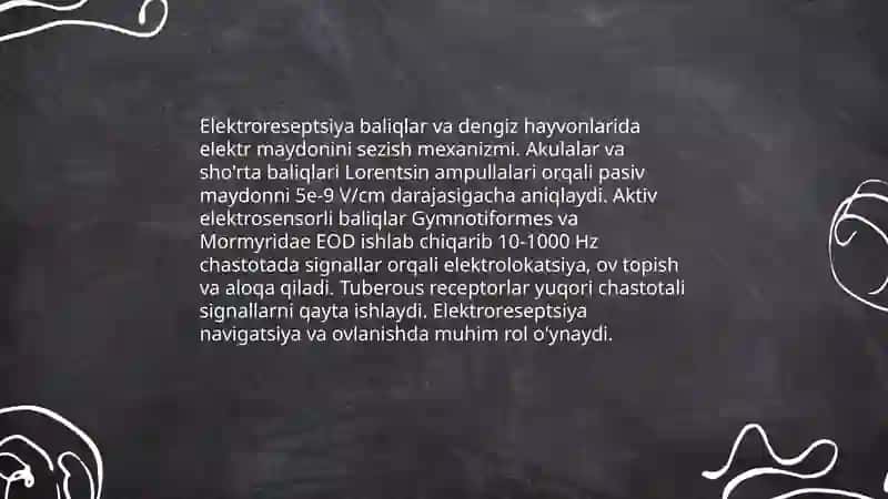 Elektr va magnit maydoni tushunchasi 4