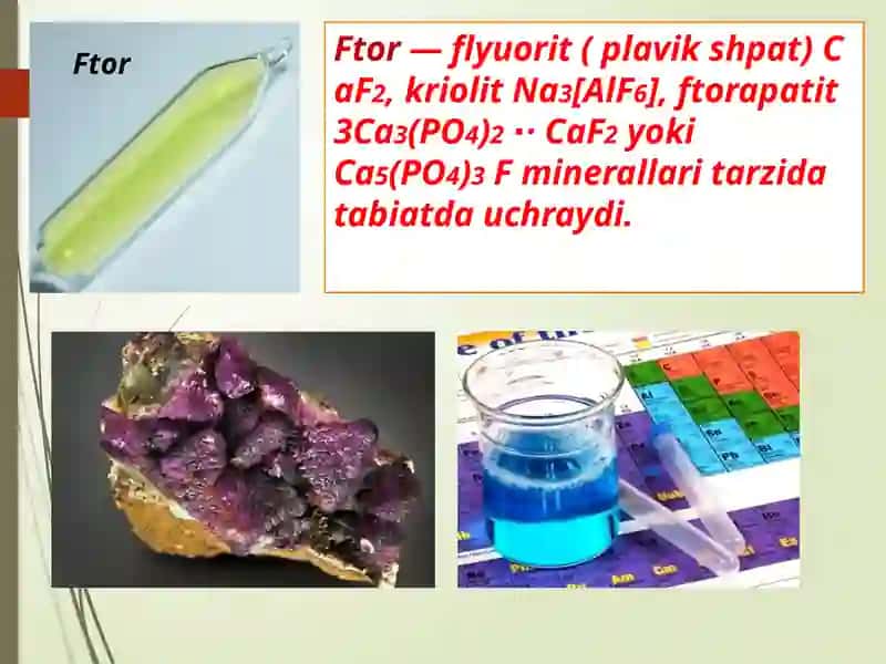 GALOGENLAR 4