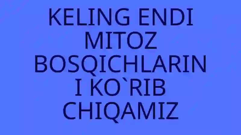 MITOZ 4