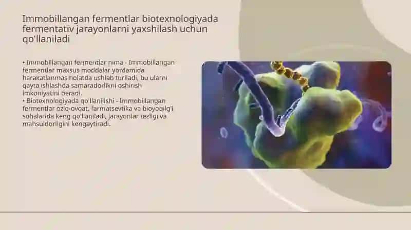 Ontogenezda fermentlar tarkibi o'zgarishi 4