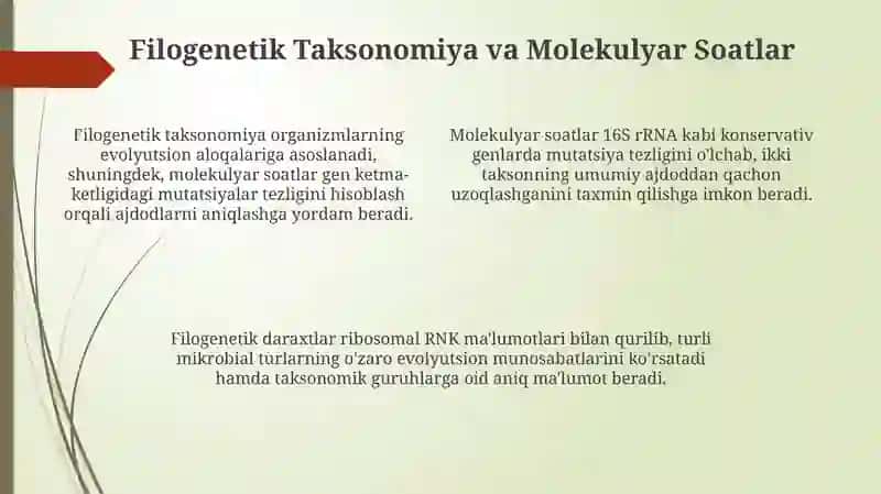 Mikroorganizmlarning zamonaviy sistematikasi 4