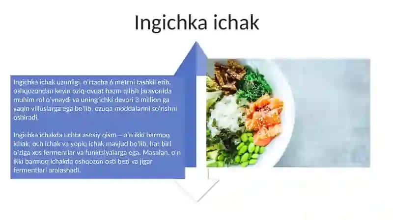 Ovqat hazm qilish sistemasi 4