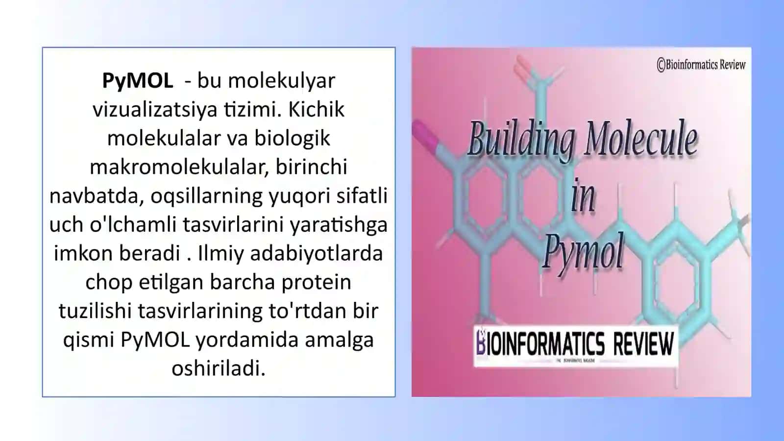 BIOINFORMATIKA 4