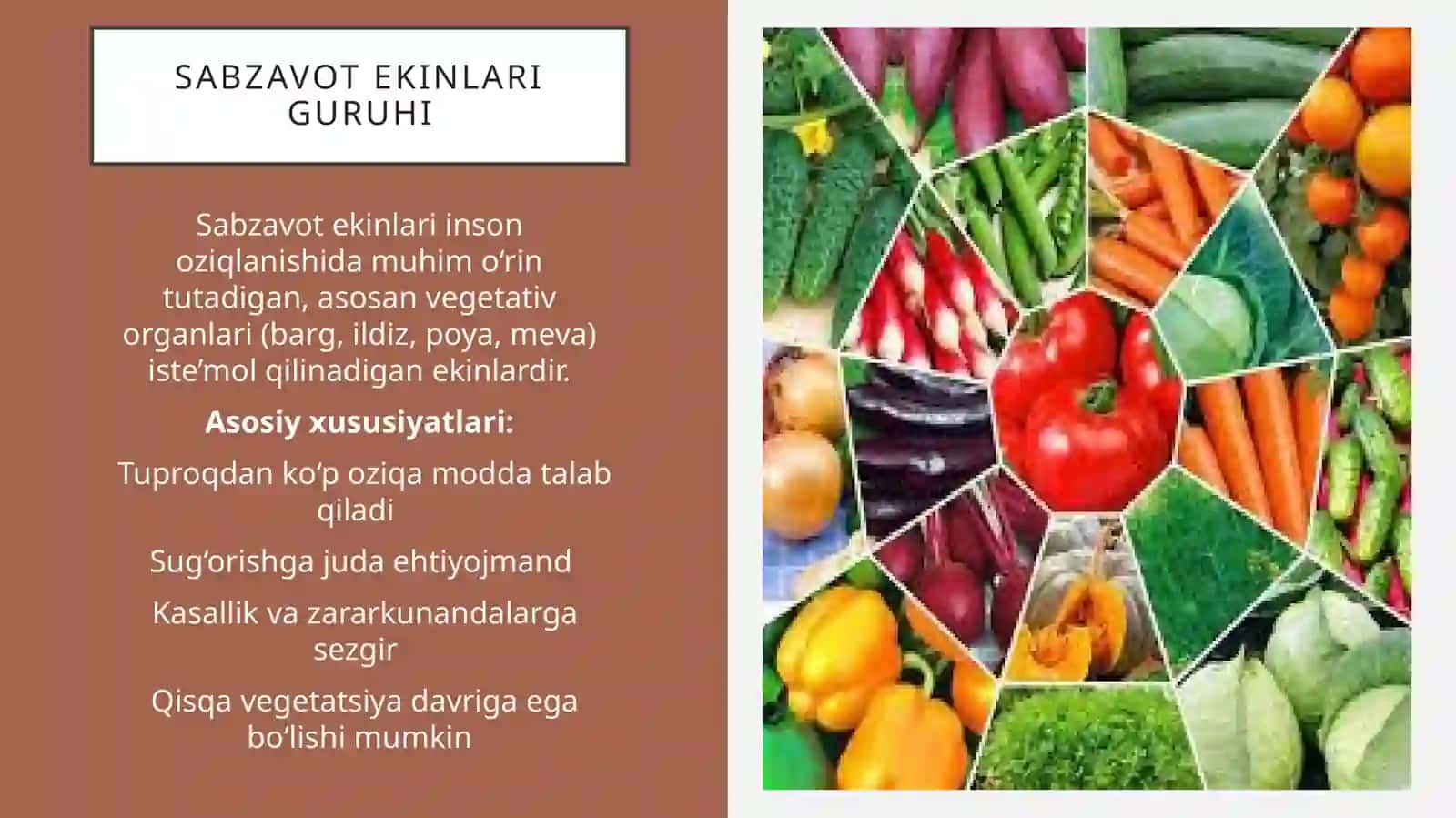 Sabzavot va Poliz ekinlarini almashlab ekish.pptx 4