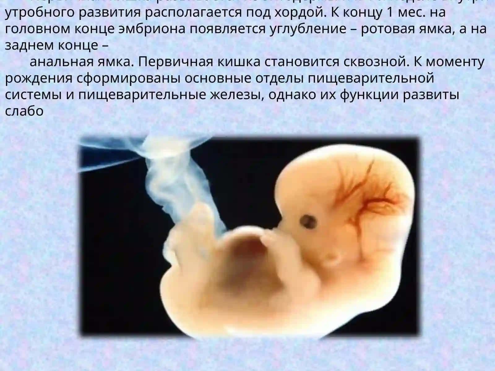 ВОЗРАСТНЫЕ ОСОБЕННОСТИ И ГИГИЕНА ОРГАНОВ ПИЩЕВАРЕНИЯ 4