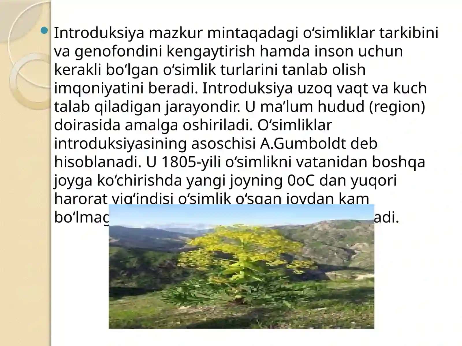 Adventiv O‘simliklar To‘g‘risida Nazariy Ma’lumotlar 4