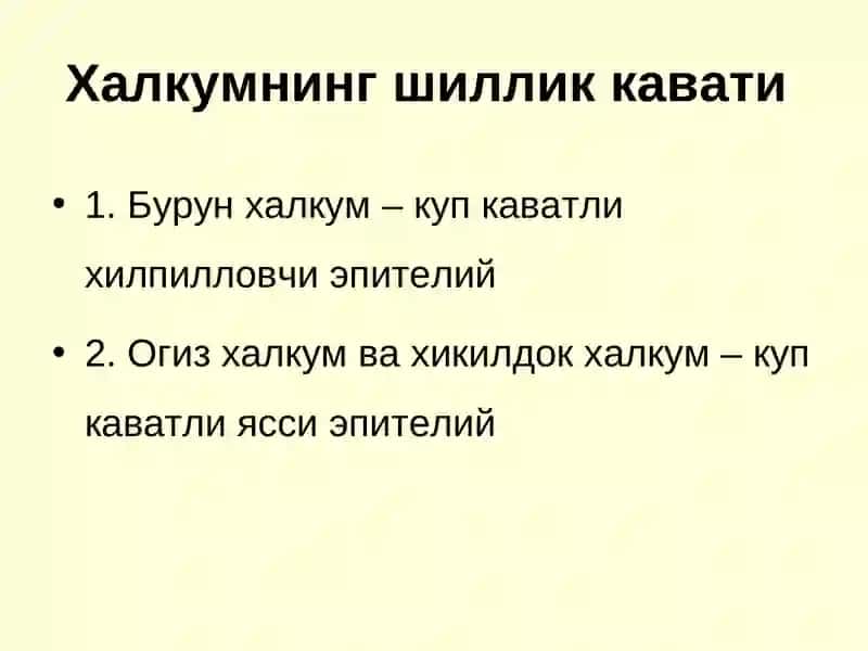 Халқум қисмлари 4