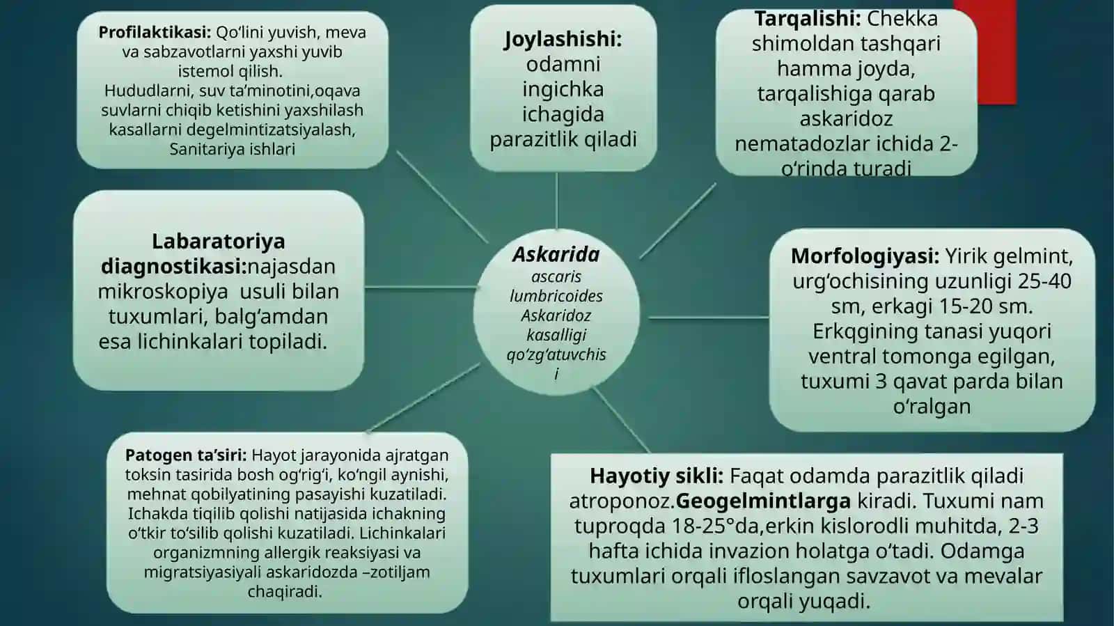 Yumaloq chuvalchanglar 4
