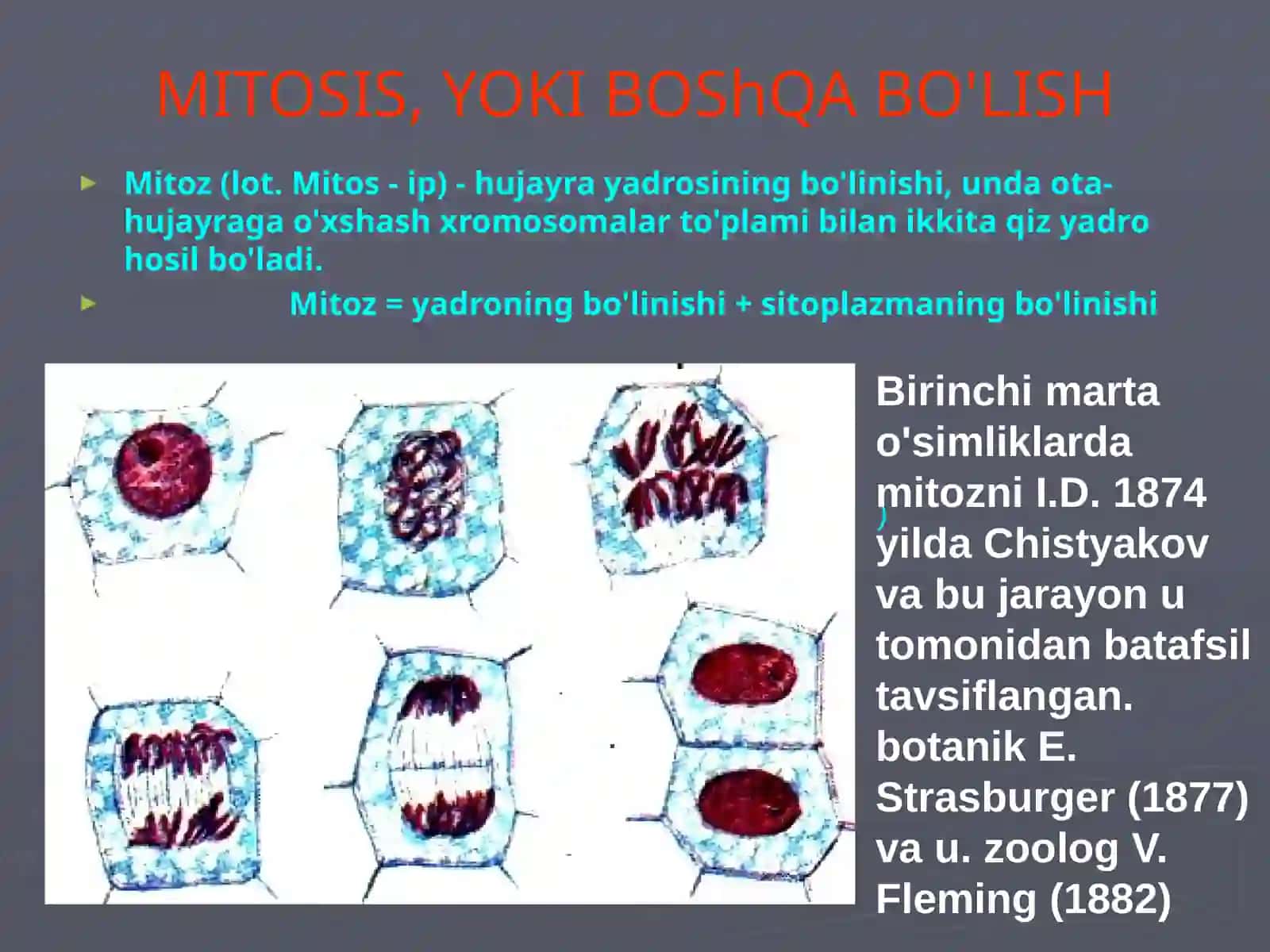 Hujayrabiologiyasi 4