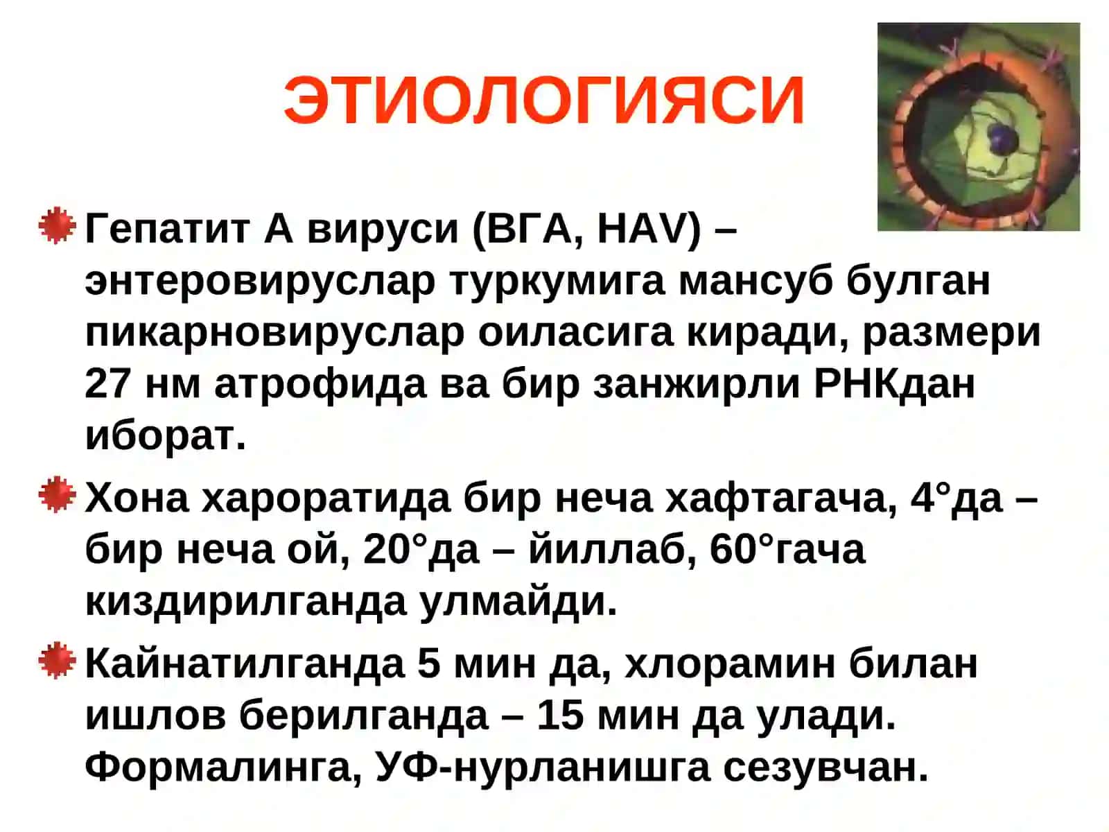 УТКИР ВИРУСЛИ ГЕПАТИТЛАР 4