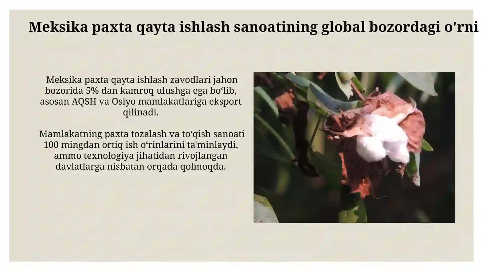 Meksika Paxta Qayta Ishlash Zavodlarining Texnologiyalari va Usullari 4