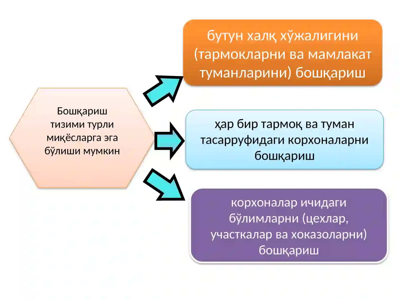 Менежментнингташкилийтузилмалари 4