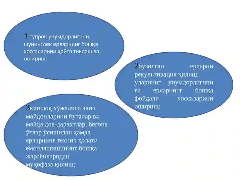 ЕРДАН ФОЙДАЛАНИШ ВА МУҲОФАЗА ҚИЛИШ УСТИДАН ДАВЛАТ НАЗОРАТИ 4